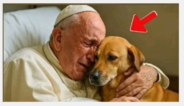 Pope Francis asked to say goodbye to his dog seconds before d… See more